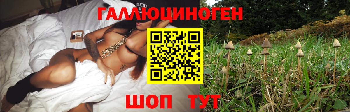 Псилоцибиновые грибы Magic Shrooms Истра